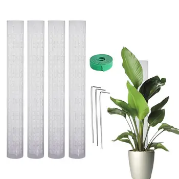 Поле за растенията от мъх, прибиращ се пластмасов шкаф за растения, прозрачен, устойчив на атмосферни влияния Регулируема поставка за растенията, за фин мъх